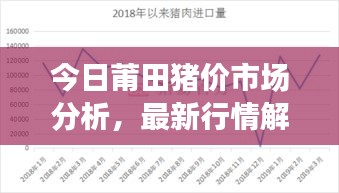 今日莆田豬價(jià)市場分析，最新行情解讀