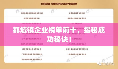 都城鎮(zhèn)企業(yè)榜單前十，揭秘成功秘訣！