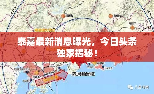 泰嘉最新消息曝光，今日頭條獨家揭秘！