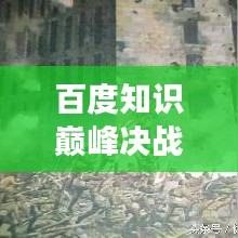 百度知識巔峰決戰(zhàn)，探索未知領(lǐng)域，盡展智慧風采