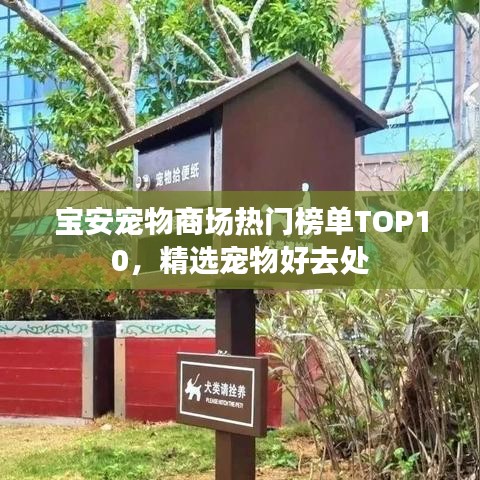 寶安寵物商場(chǎng)熱門榜單TOP10，精選寵物好去處