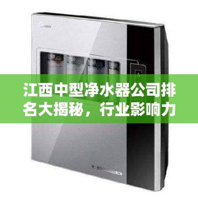 江西中型凈水器公司排名大揭秘，行業(yè)影響力不容小覷！