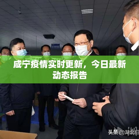 咸寧疫情實(shí)時(shí)更新，今日最新動(dòng)態(tài)報(bào)告
