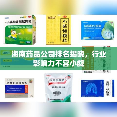 海南藥品公司排名揭曉，行業(yè)影響力不容小覷