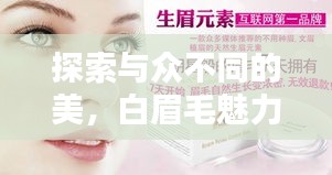 探索與眾不同的美，白眉毛魅力揭秘