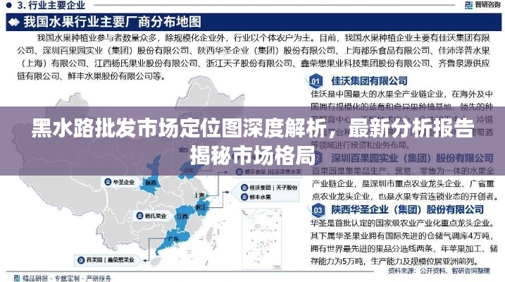 黑水路批發(fā)市場定位圖深度解析，最新分析報告揭秘市場格局