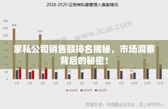 家私公司銷(xiāo)售額排名揭秘，市場(chǎng)洞察背后的秘密！