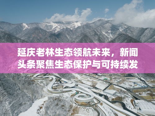 延慶老林生態(tài)領(lǐng)航未來，新聞頭條聚焦生態(tài)保護(hù)與可持續(xù)發(fā)展
