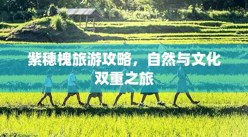 紫穗槐旅游攻略，自然與文化雙重之旅