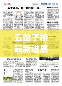 五岔子橋最新進(jìn)展與未來(lái)規(guī)劃揭秘，新聞?lì)^條重磅更新