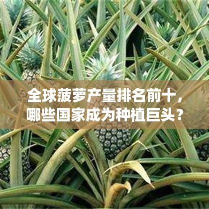聯(lián)系我們 第43頁