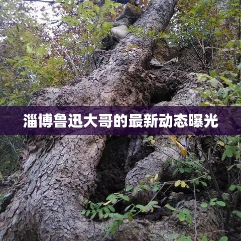 淄博魯迅大哥的最新動態(tài)曝光