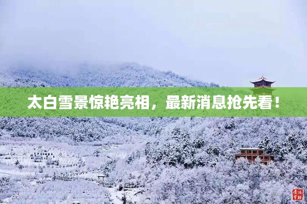 太白雪景驚艷亮相，最新消息搶先看！