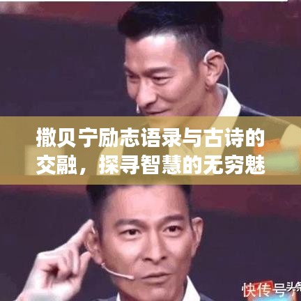 撒貝寧勵志語錄與古詩的交融，探尋智慧的無窮魅力