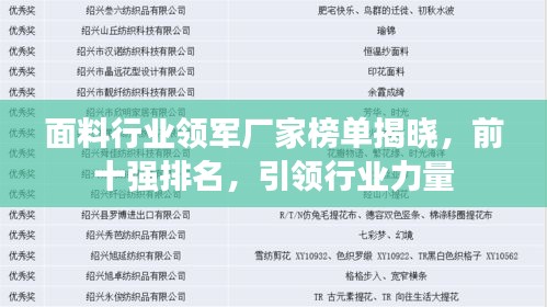 面料行業(yè)領(lǐng)軍廠家榜單揭曉，前十強(qiáng)排名，引領(lǐng)行業(yè)力量