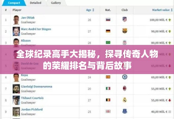 全球紀(jì)錄高手大揭秘，探尋傳奇人物的榮耀排名與背后故事