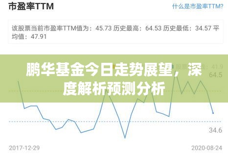 鵬華基金今日走勢展望，深度解析預測分析