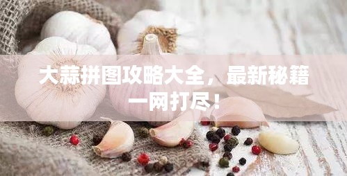 大蒜拼圖攻略大全，最新秘籍一網(wǎng)打盡！