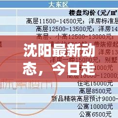 沈陽最新動(dòng)態(tài)，今日走勢(shì)揭秘
