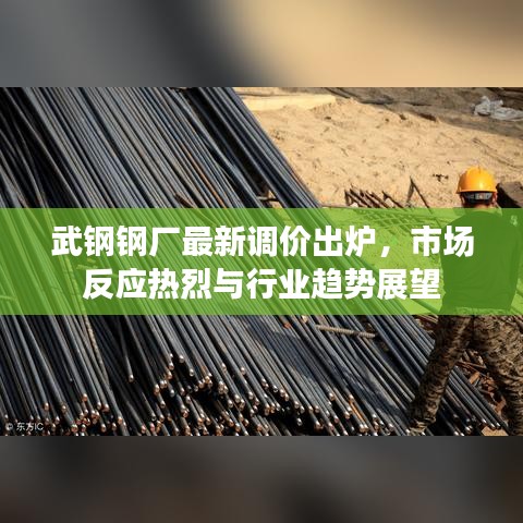 武鋼鋼廠最新調(diào)價出爐，市場反應(yīng)熱烈與行業(yè)趨勢展望
