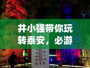 資料大全 第40頁
