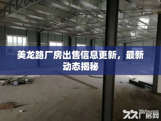 美龍路廠房出售信息更新，最新動態(tài)揭秘