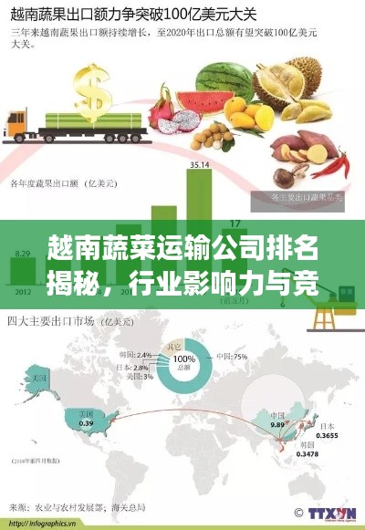 越南蔬菜運(yùn)輸公司排名揭秘，行業(yè)影響力與競爭力分析