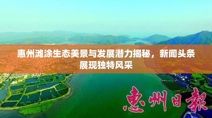 惠州灘涂生態(tài)美景與發(fā)展?jié)摿颐?，新聞?lì)^條展現(xiàn)獨(dú)特風(fēng)采