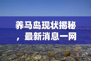 養(yǎng)馬島現(xiàn)狀揭秘，最新消息一網(wǎng)打盡