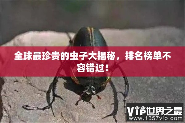 全球最珍貴的蟲(chóng)子大揭秘，排名榜單不容錯(cuò)過(guò)！