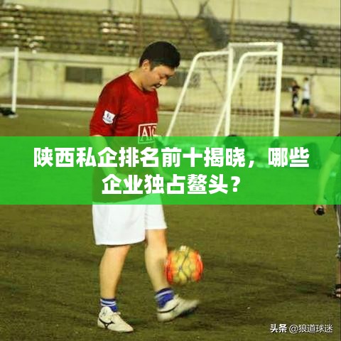 陜西私企排名前十揭曉，哪些企業(yè)獨占鰲頭？