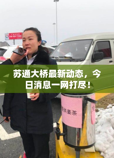 蘇通大橋最新動(dòng)態(tài)，今日消息一網(wǎng)打盡！
