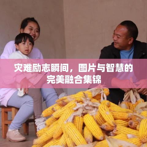災難勵志瞬間，圖片與智慧的完美融合集錦
