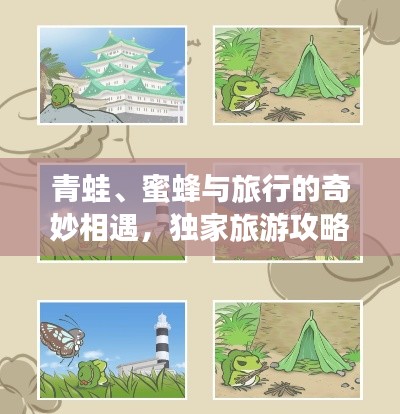 青蛙、蜜蜂與旅行的奇妙相遇，獨家旅游攻略分享