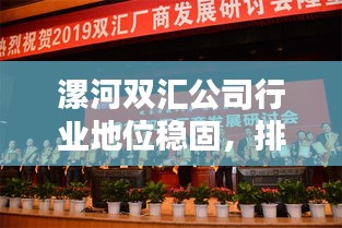 漯河雙匯公司行業(yè)地位穩(wěn)固，排名顯赫，成就卓越典范