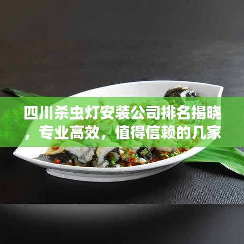 四川殺蟲燈安裝公司排名揭曉，專業(yè)高效，值得信賴的幾家企業(yè)