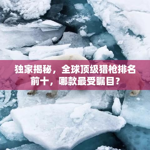 獨(dú)家揭秘，全球頂級獵槍排名前十，哪款最受矚目？