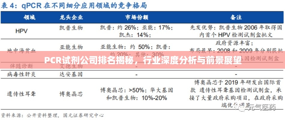 PCR試劑公司排名揭秘，行業(yè)深度分析與前景展望
