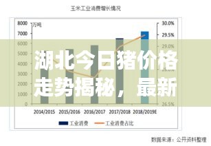 湖北今日豬價格走勢揭秘，最新動態(tài)與行情分析