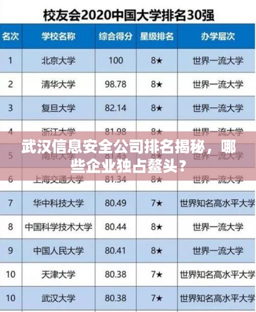 武漢信息安全公司排名揭秘，哪些企業(yè)獨占鰲頭？