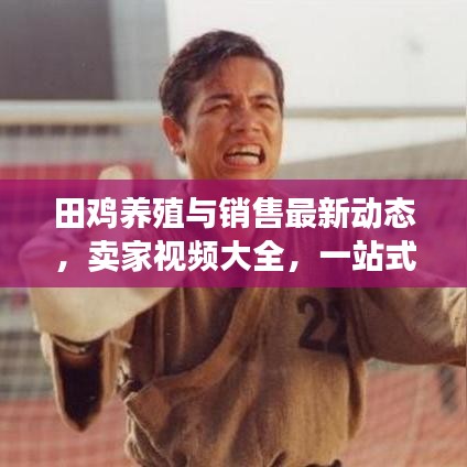 越鳥南棲