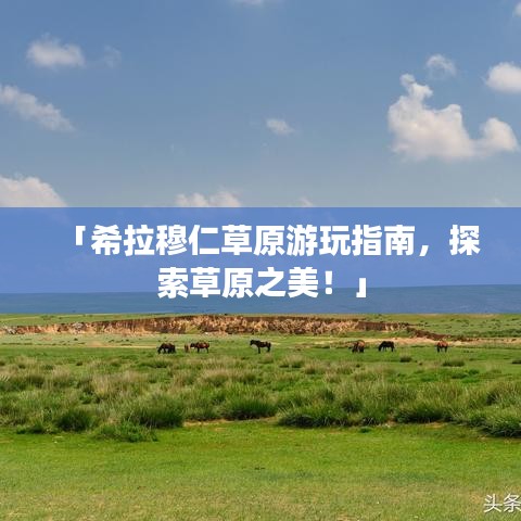 「希拉穆仁草原游玩指南，探索草原之美！」