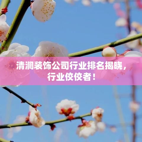 清澗裝飾公司行業(yè)排名揭曉，行業(yè)佼佼者！