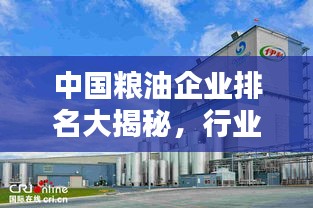 中國糧油企業(yè)排名大揭秘，行業(yè)領(lǐng)軍者一覽無余