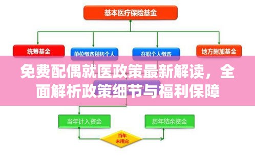 免費配偶就醫(yī)政策最新解讀，全面解析政策細節(jié)與福利保障