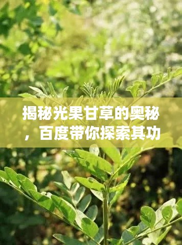 坐井觀天