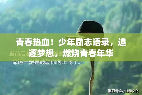 青春熱血！少年勵志語錄，追逐夢想，燃燒青春年華
