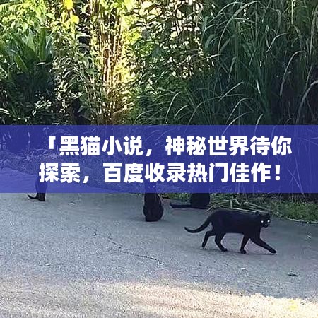 「黑貓小說(shuō)，神秘世界待你探索，百度收錄熱門佳作！」