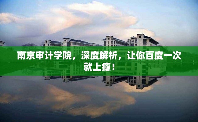 南京審計學(xué)院，深度解析，讓你百度一次就上癮！