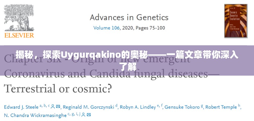 揭秘，探索Uygurqakino的奧秘——一篇文章帶你深入了解